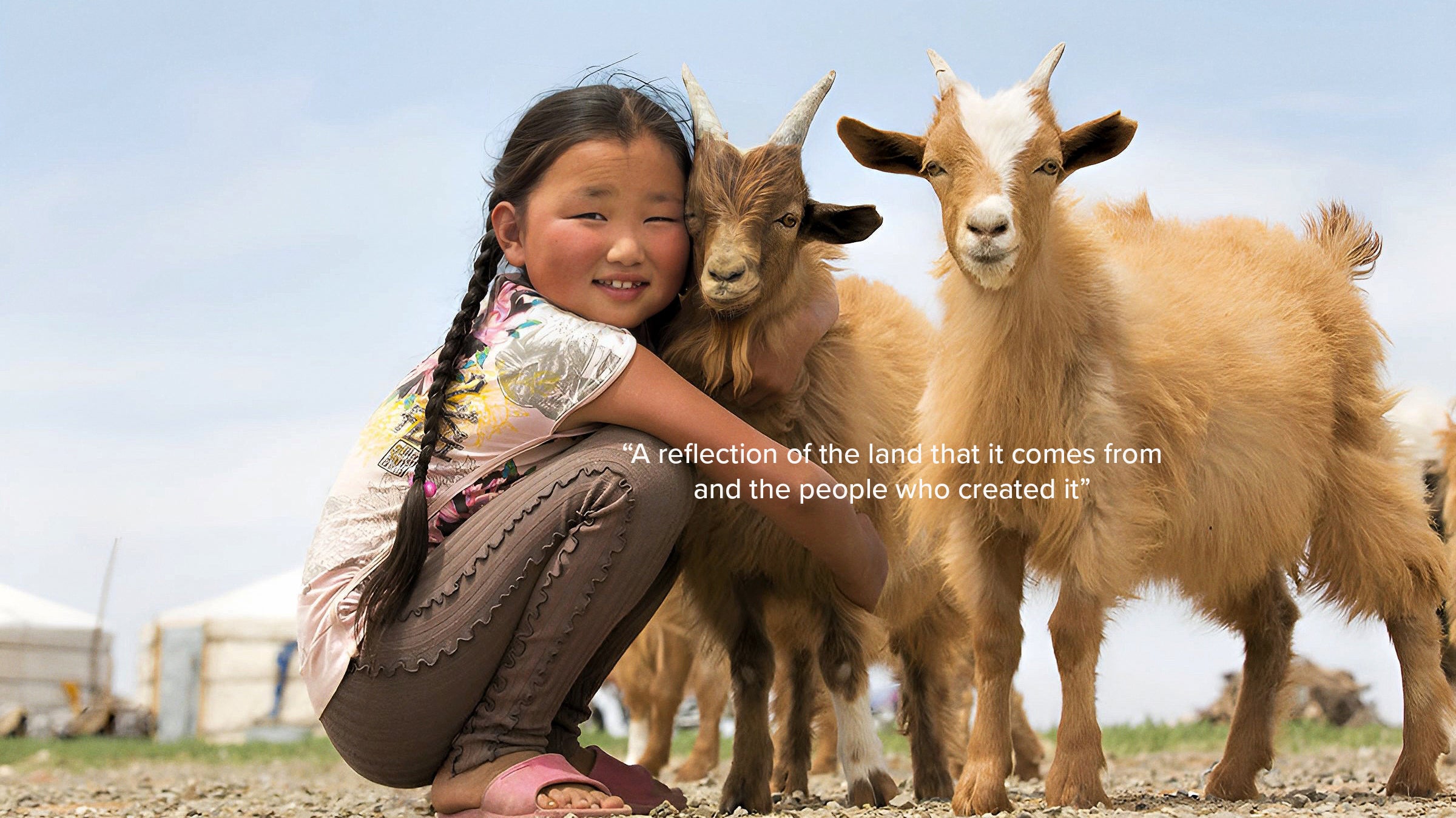 Cashmere goats with a mongolian child